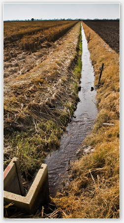 Photograph of surface water canal in field